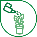 Watering frequency