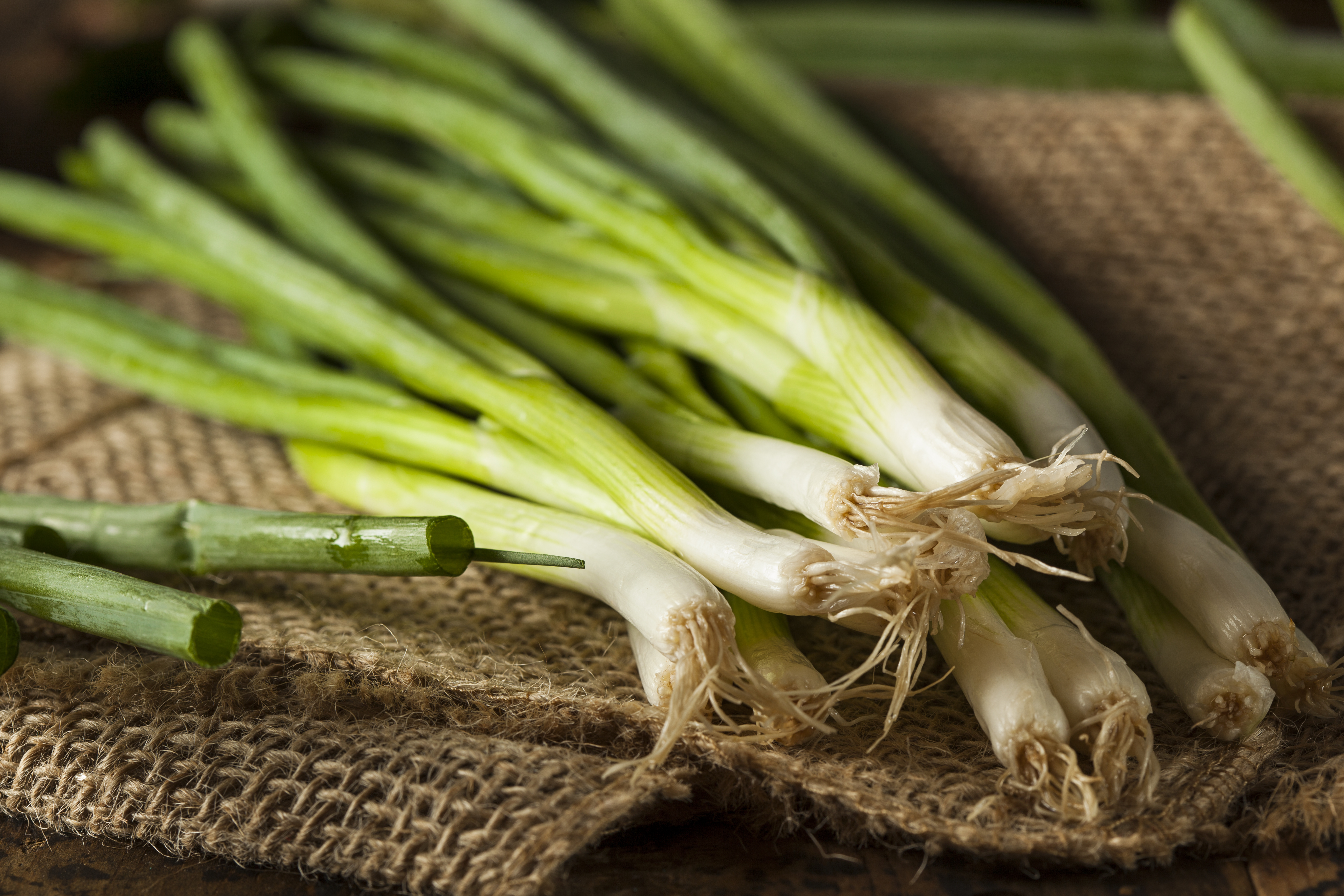 Spring Onion
