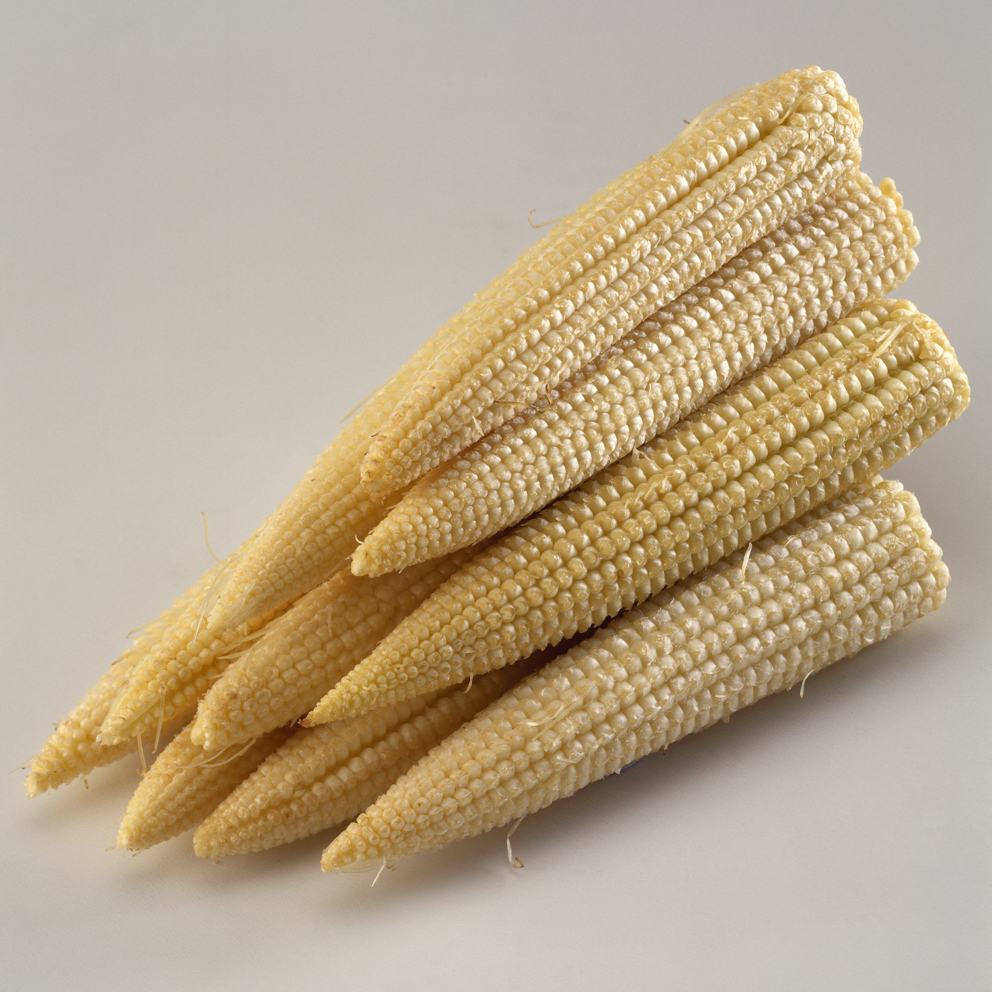 Babycorn