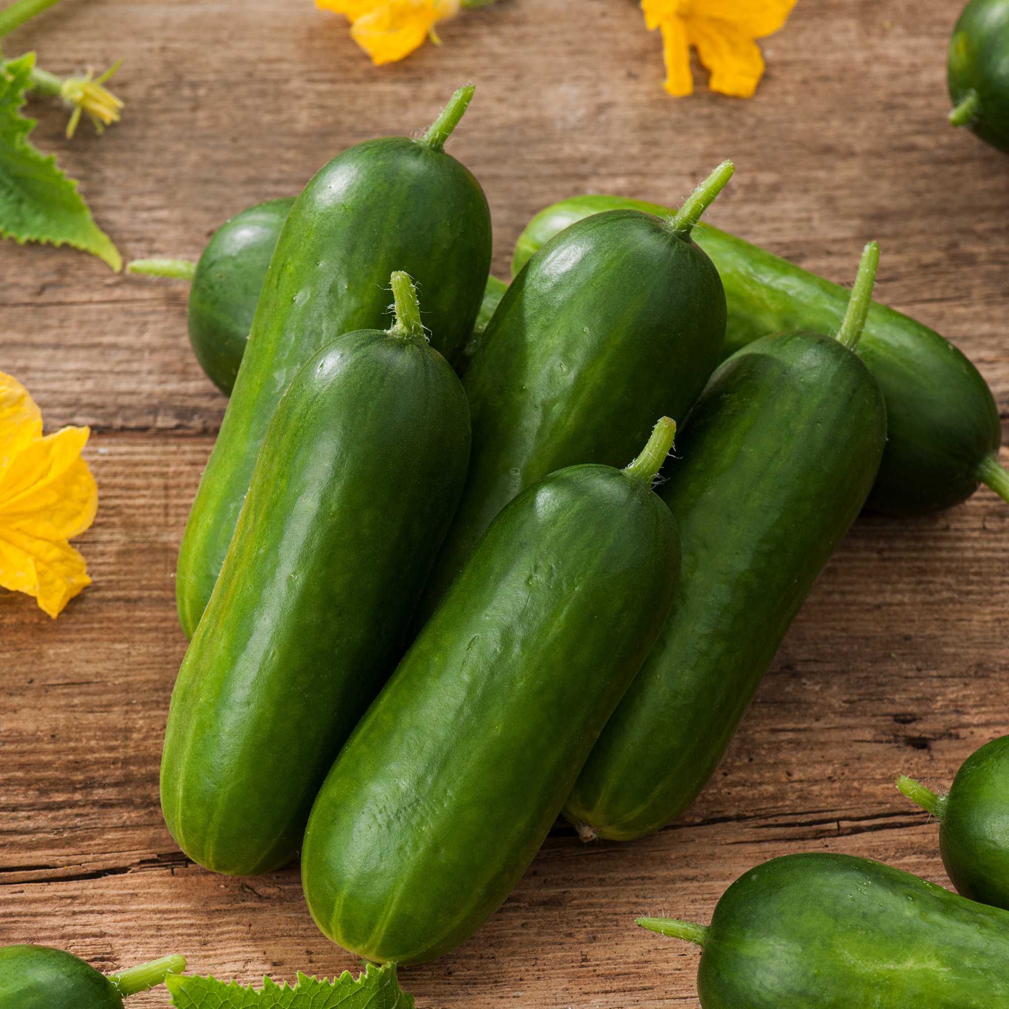 Kitchen Harvest Mini Cucumber