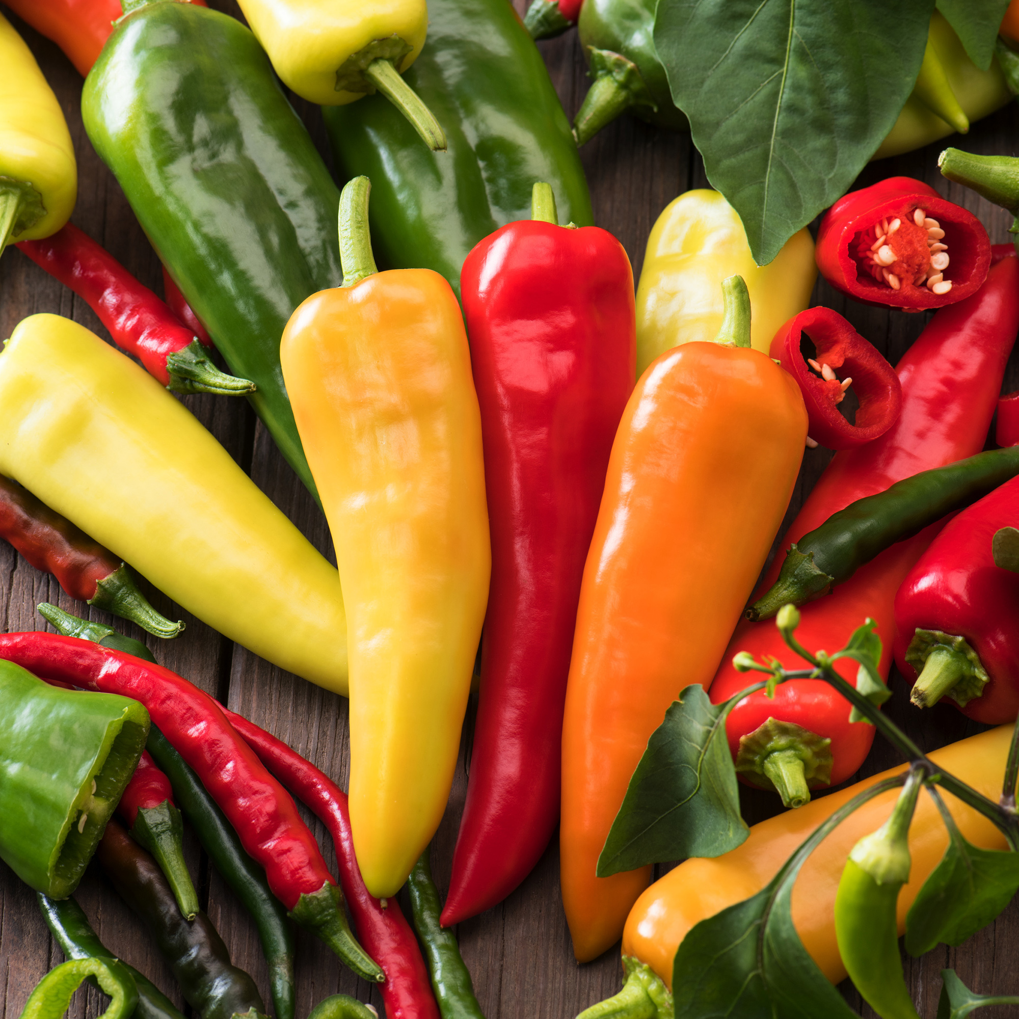 Hot Chilli Pepper Collection