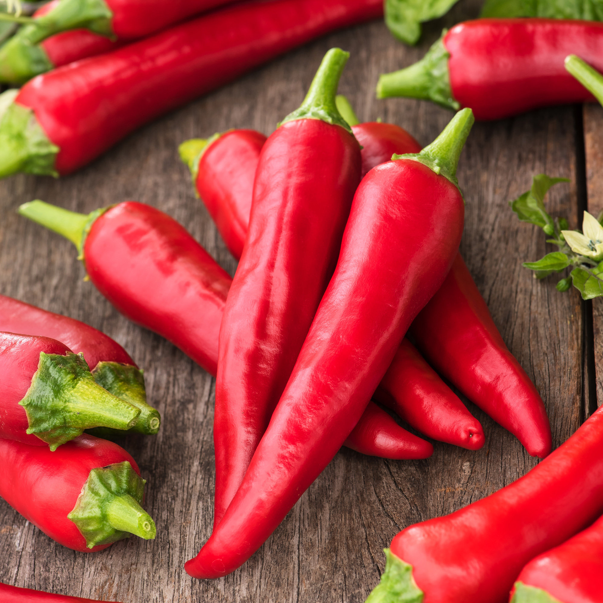 Chilli Pepper Thai Dragon