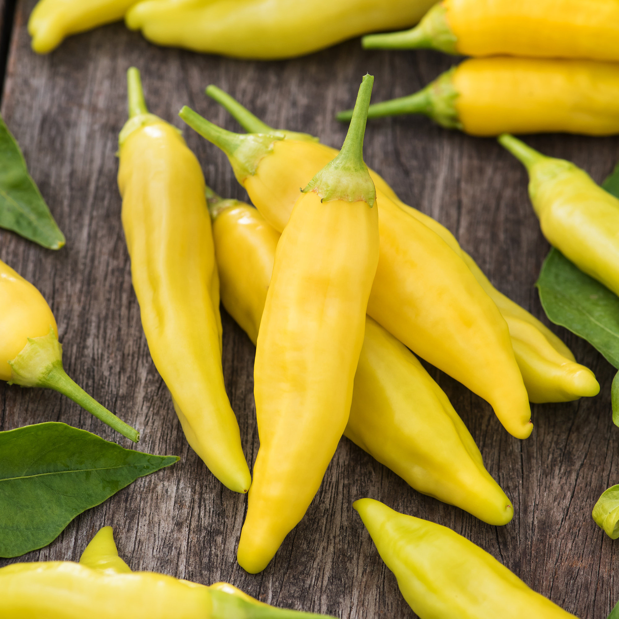 Patio Chilli Hot Lemon