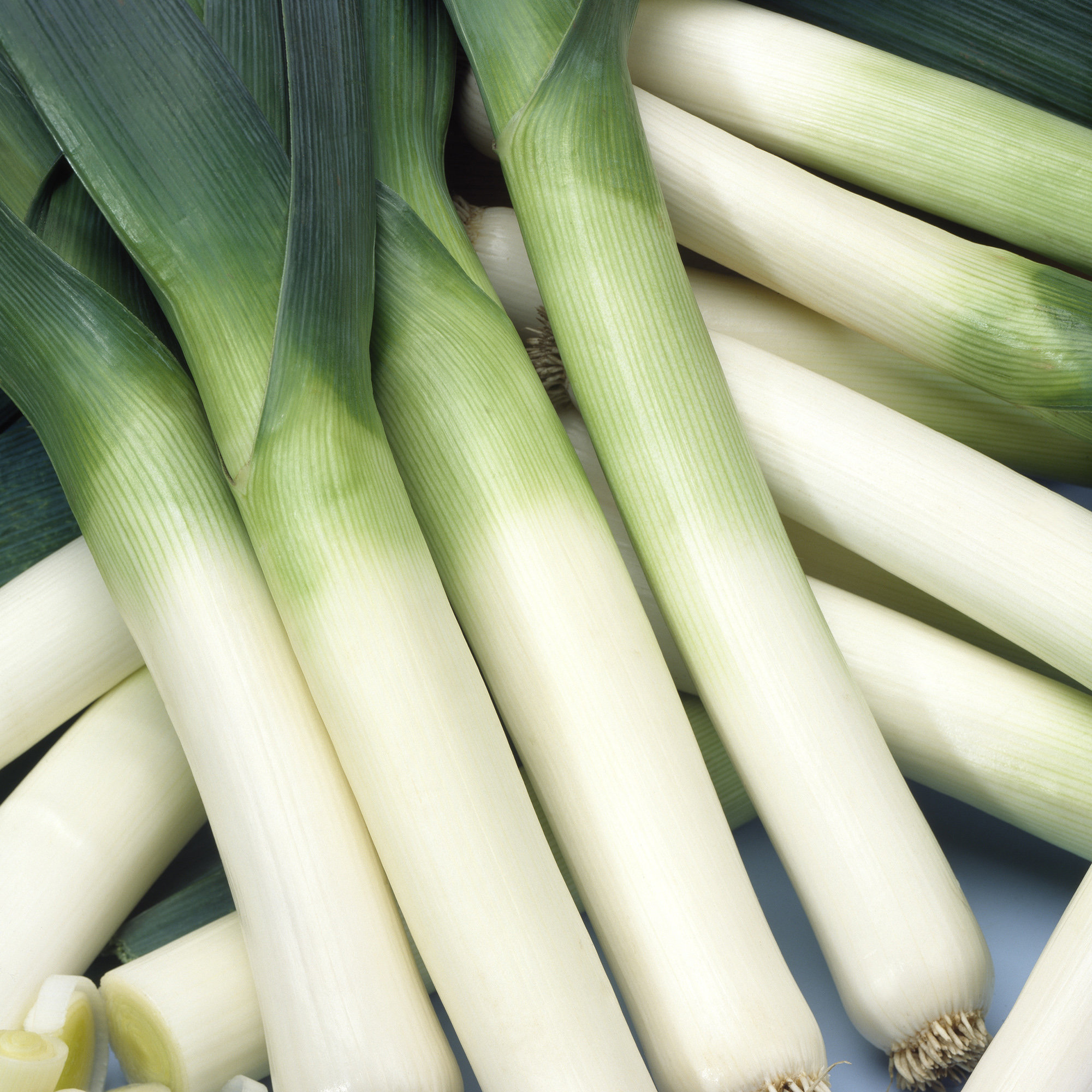 Leek