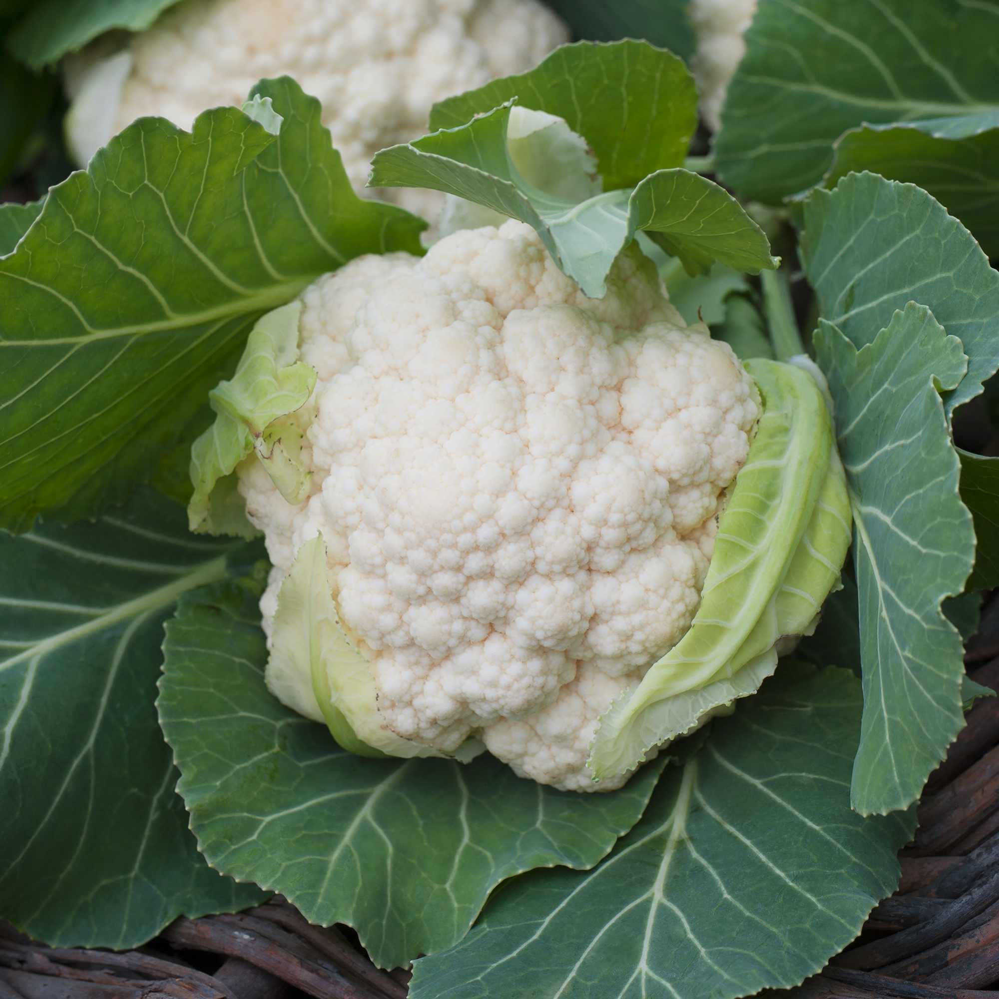 Cauliflower